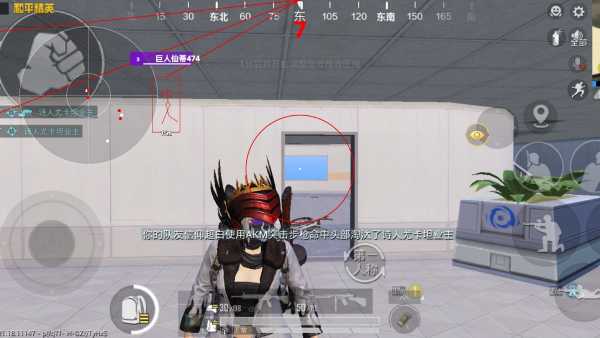 和平精英【雪儿内核】辅助